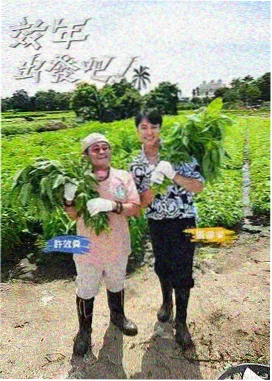 回声山谷 免费高清电影网音乐纪录片